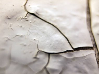 pürüzlü yüzeyi çok renkli boya