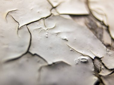 pürüzlü yüzeyi çok renkli boya