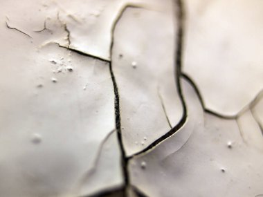 pürüzlü yüzeyi çok renkli boya