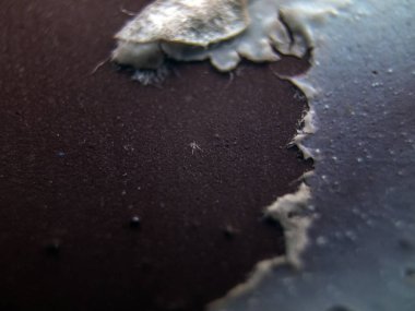 pürüzlü yüzeyi çok renkli boya