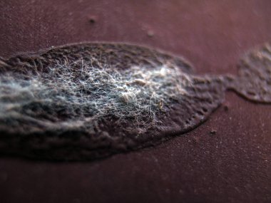 pürüzlü yüzeyi çok renkli boya