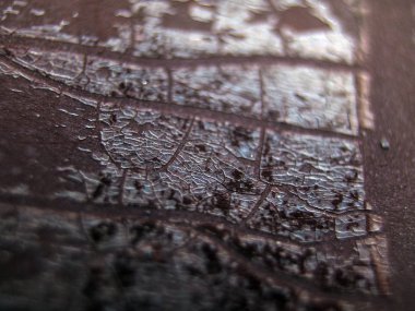 pürüzlü yüzeyi çok renkli boya