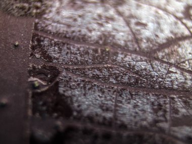 pürüzlü yüzeyi çok renkli boya