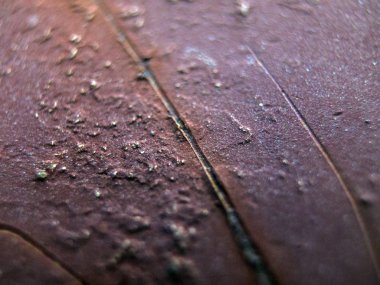 pürüzlü yüzeyi çok renkli boya