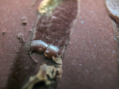 pürüzlü yüzeyi çok renkli boya