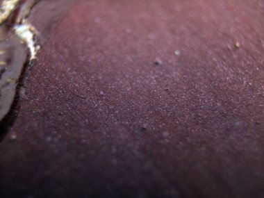 pürüzlü yüzeyi çok renkli boya