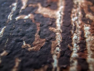 pürüzlü yüzeyi çok renkli boya