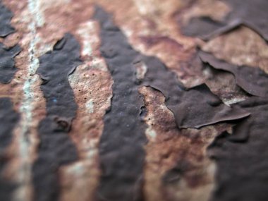 pürüzlü yüzeyi çok renkli boya