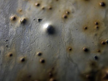 pürüzlü yüzeyi çok renkli boya