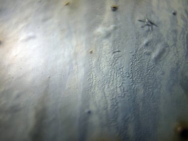 pürüzlü yüzeyi çok renkli boya