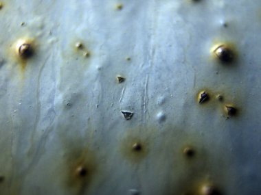 pürüzlü yüzeyi çok renkli boya