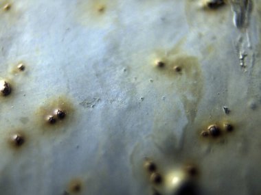 pürüzlü yüzeyi çok renkli boya