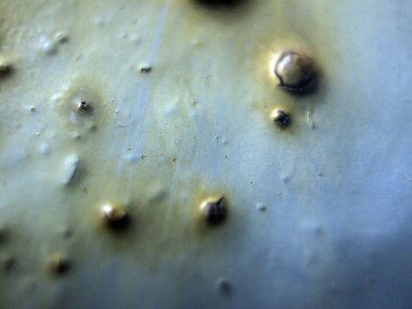 pürüzlü yüzeyi çok renkli boya