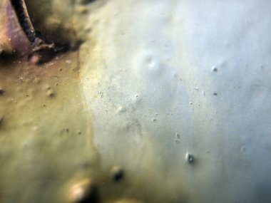 pürüzlü yüzeyi çok renkli boya