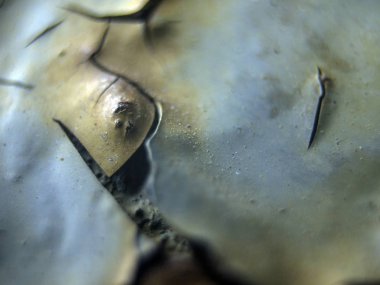 pürüzlü yüzeyi çok renkli boya