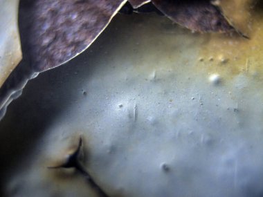 pürüzlü yüzeyi çok renkli boya