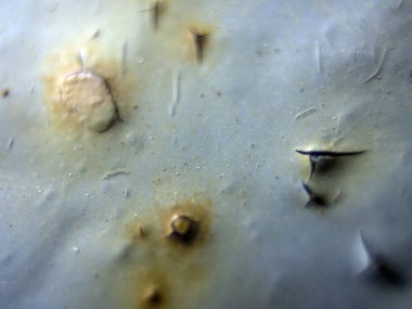 pürüzlü yüzeyi çok renkli boya