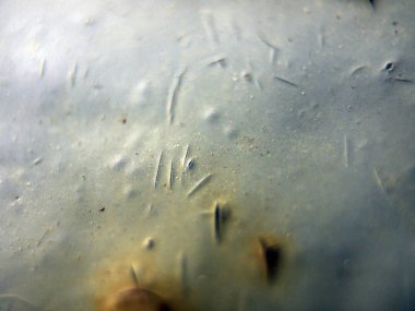 pürüzlü yüzeyi çok renkli boya