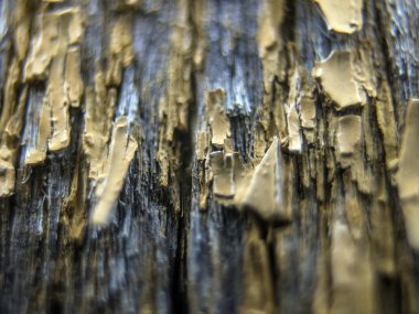 pürüzlü yüzeyi çok renkli boya