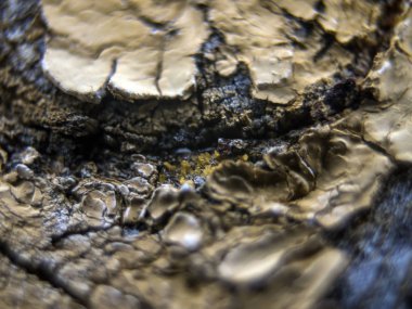 pürüzlü yüzeyi çok renkli boya