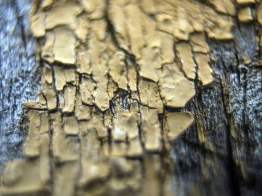 pürüzlü yüzeyi çok renkli boya