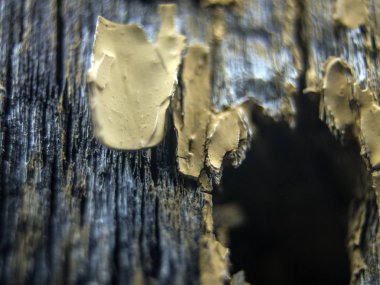 pürüzlü yüzeyi çok renkli boya