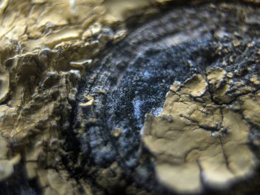 pürüzlü yüzeyi çok renkli boya