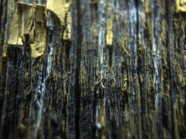 pürüzlü yüzeyi çok renkli boya