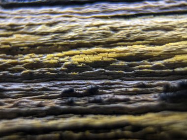 pürüzlü yüzeyi çok renkli boya