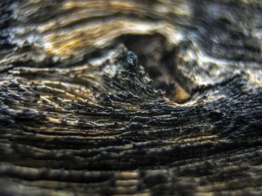 pürüzlü yüzeyi çok renkli boya