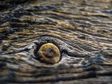 pürüzlü yüzeyi çok renkli boya