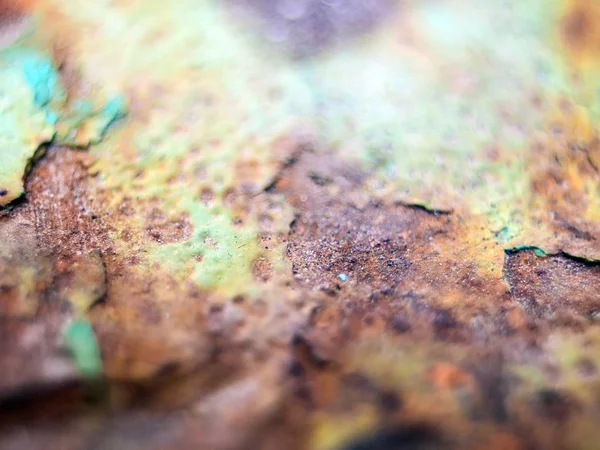 pürüzlü yüzeyi çok renkli boya