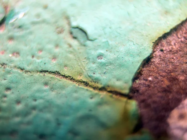 pürüzlü yüzeyi çok renkli boya