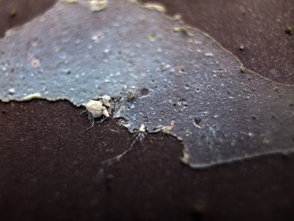 pürüzlü yüzeyi çok renkli boya