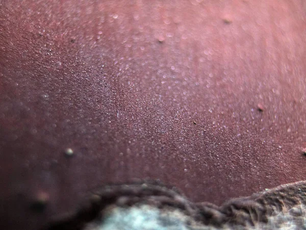 pürüzlü yüzeyi çok renkli boya