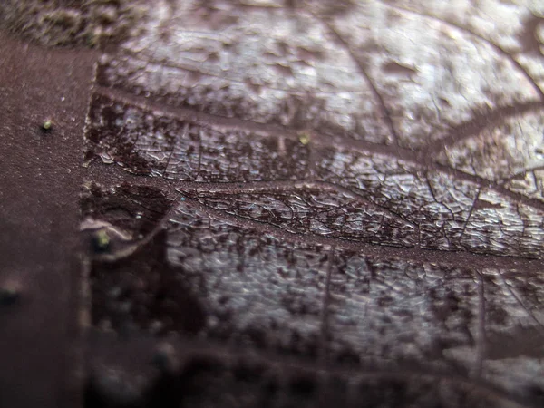 pürüzlü yüzeyi çok renkli boya