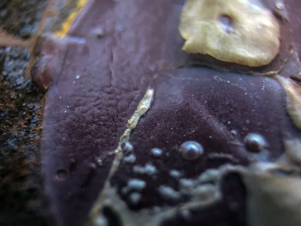 pürüzlü yüzeyi çok renkli boya