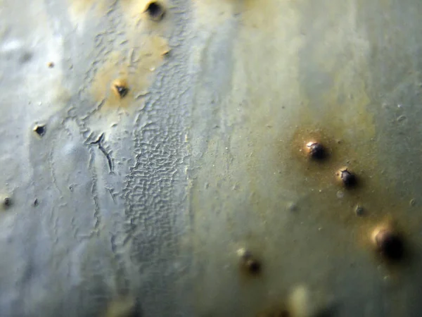 pürüzlü yüzeyi çok renkli boya