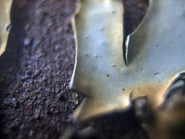 pürüzlü yüzeyi çok renkli boya