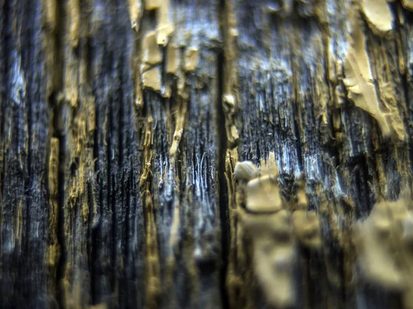 pürüzlü yüzeyi çok renkli boya