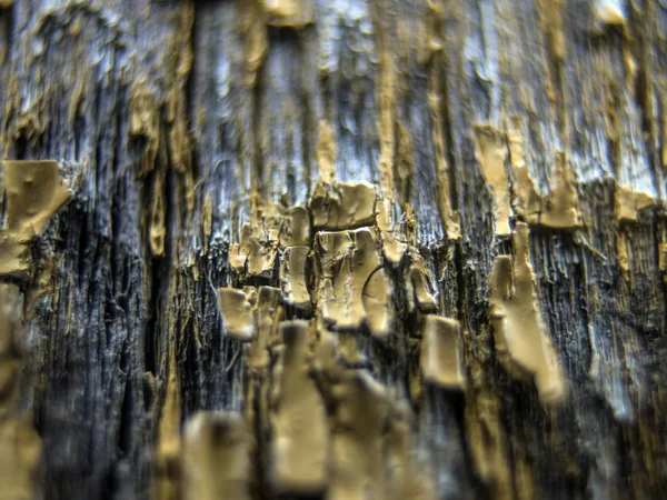 pürüzlü yüzeyi çok renkli boya