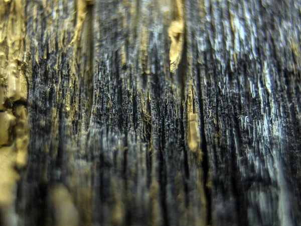 pürüzlü yüzeyi çok renkli boya