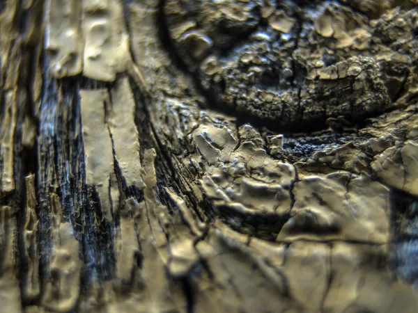 pürüzlü yüzeyi çok renkli boya