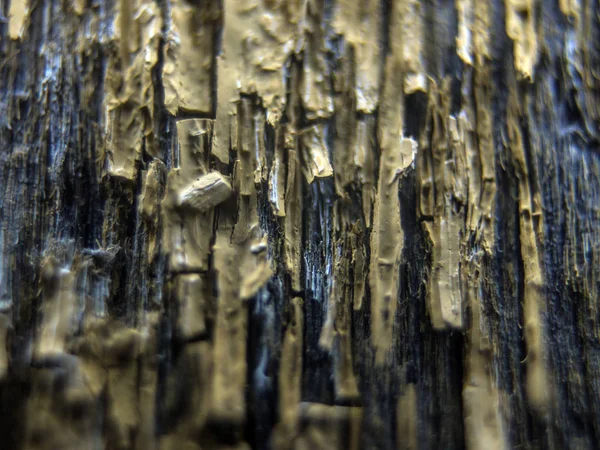 pürüzlü yüzeyi çok renkli boya