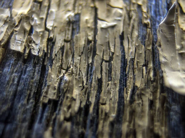 pürüzlü yüzeyi çok renkli boya