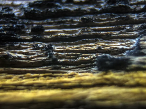 pürüzlü yüzeyi çok renkli boya