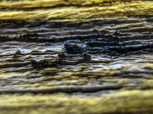 pürüzlü yüzeyi çok renkli boya