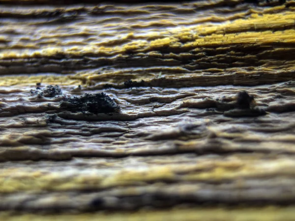 pürüzlü yüzeyi çok renkli boya