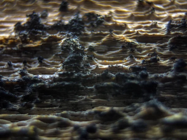 pürüzlü yüzeyi çok renkli boya