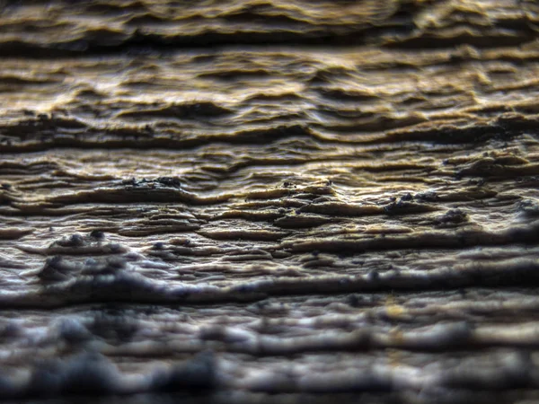 pürüzlü yüzeyi çok renkli boya